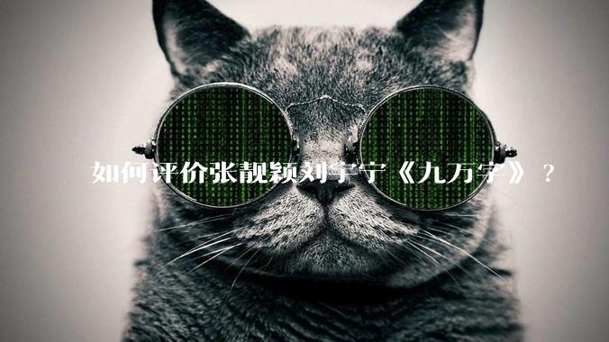 如何评价张靓颖刘宇宁《九万字》?