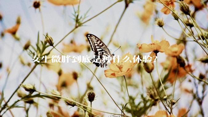 女生微胖到底是种什么体验？