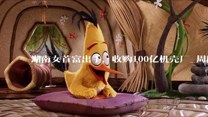 湖南女首富出手，收购100亿机壳厂_周群飞_制造_蓝思