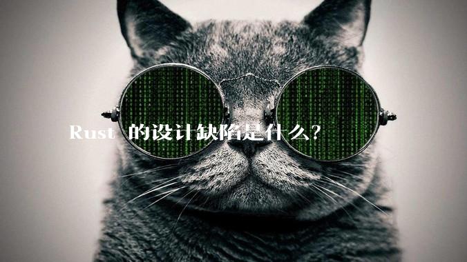 Rust 的设计缺陷是什么？