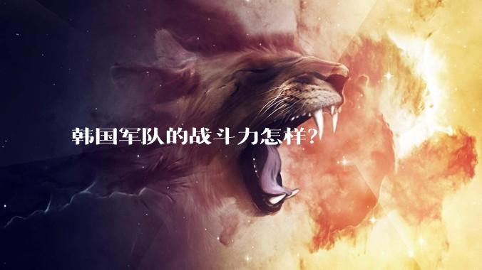 韩国军队的战斗力怎样？