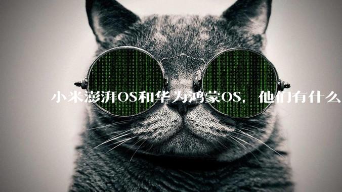 小米澎湃OS和华为鸿蒙OS，他们有什么不一样，谁更有发展前途？