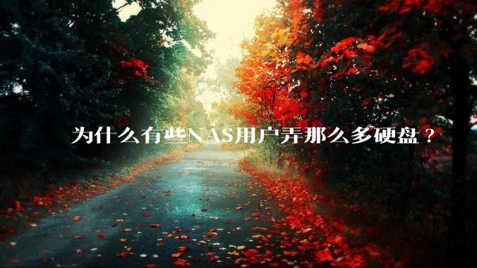 为什么有些NAS用户弄那么多硬盘?
