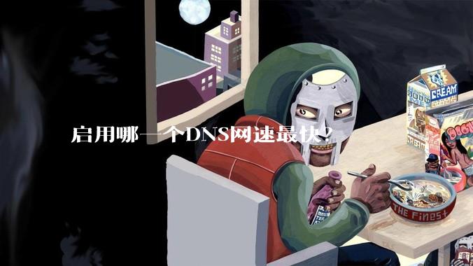 启用哪一个DNS网速最快？
