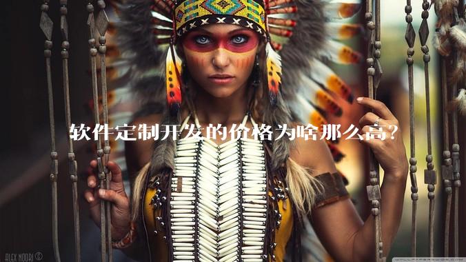 软件定制开发的价格为啥那么高？